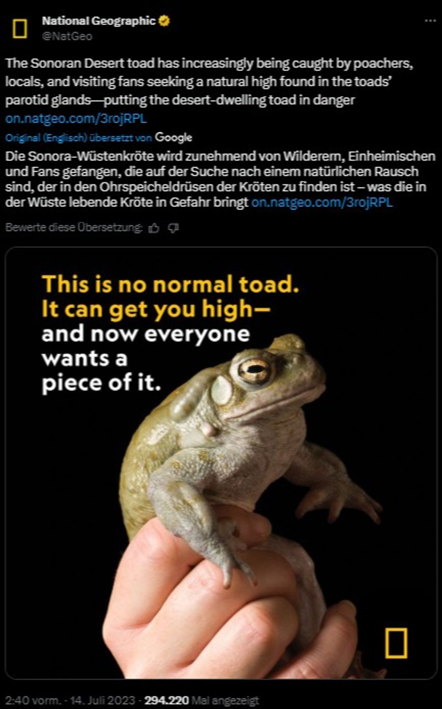 Kröte Mexiko