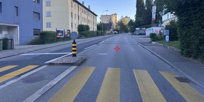 Neuhausen am Rheinfall SH: Hündin von Motorrad erfasst. Neuhausen am Rheinfall SH