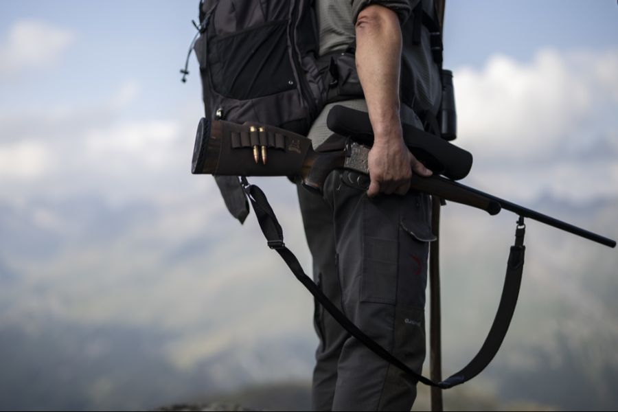 Durch die Abschüsse rechnet der Kanton Wallis mit Einnahmen von 460'000 Franken.