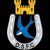Dungannon Swifts