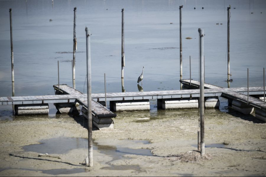 Wegen des ausgetrockneten Ufers des Bodensees seien Menschen «entmutigt» und buchen weniger Boots-Fahrstunden, sagt Alfred Frei. (Archivbild Anfang April 2025)