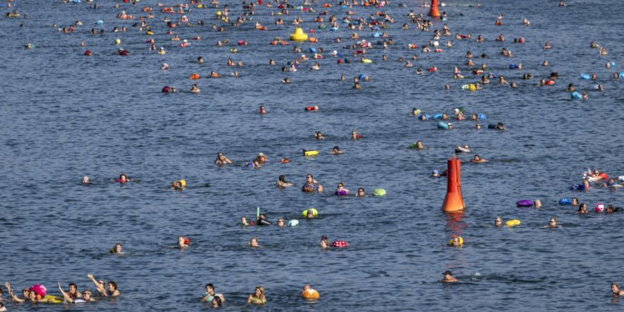 Am Tag des offiziellen Rheinschwimmens verzeichneten Basler Hotels die höchste Auslastung des Monats August. (Archivbild)
