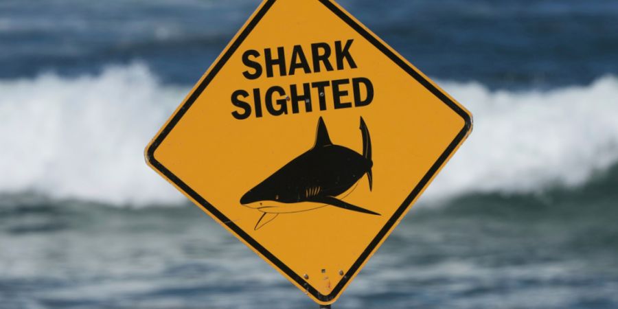 ARCHIV - Ein Schild ist am Ort eines tödlichen Haiangriffs am Dee Why Beach zu sehen. Vor der Westküste Australiens ist ein Mann von einem Hai schwer verletzt worden. Foto: Mark Baker...