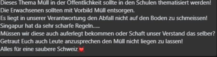 Herumliegender Abfall bei einem öffentlichen Kübel sorgt in Stäfa ZH für Diskussionen.