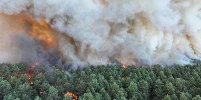 Brand Wald