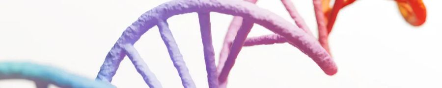 GSK 2