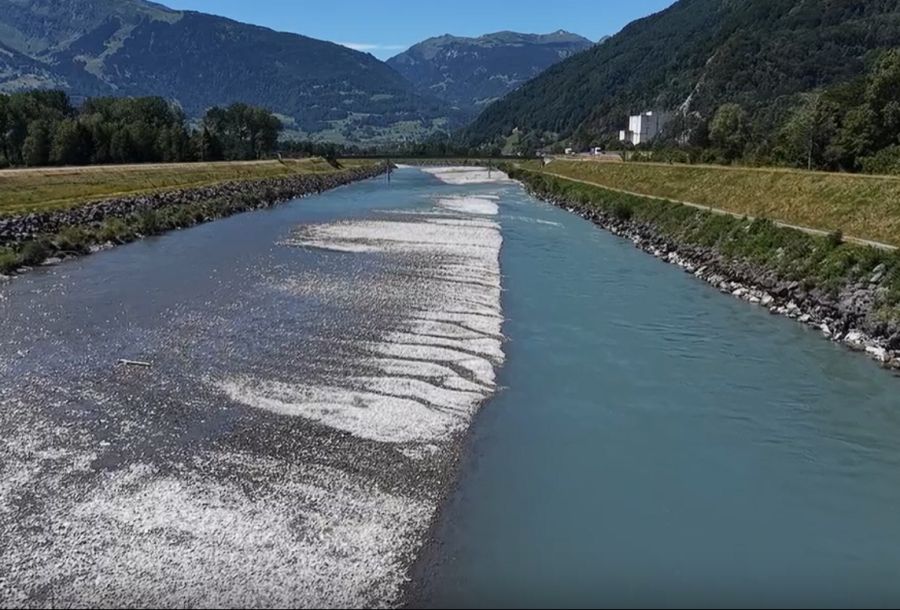 Der Rhein bei Trübbach SG lässt Badefreunde erschaudern.