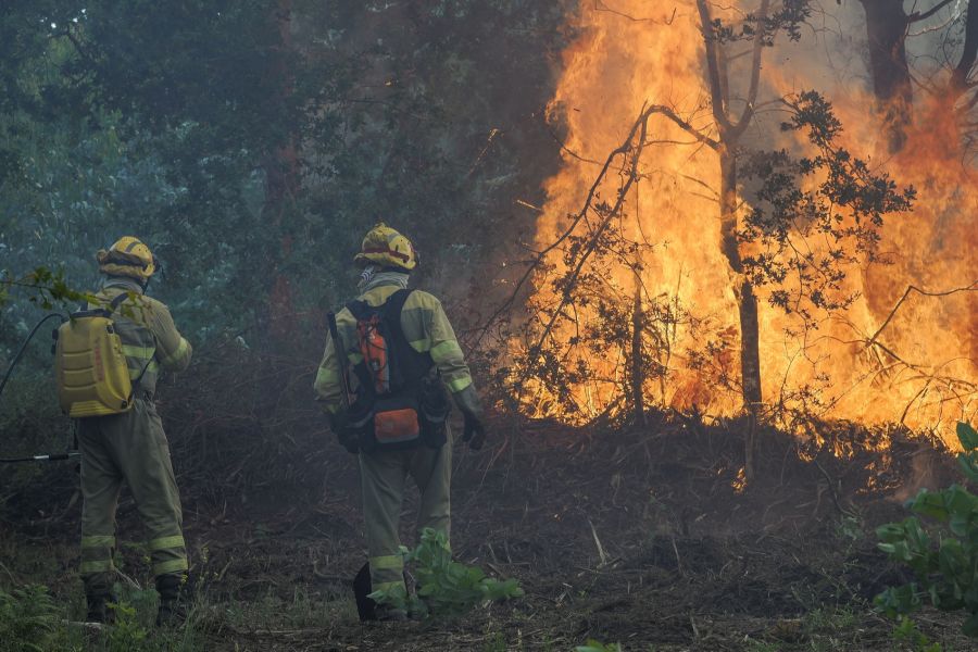 Spanien Waldbrand