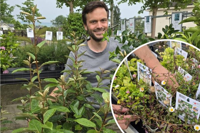 JardinSuisse Thurgau Präsident Rolf Schläpfer kennt das Thema Neophyten gut.