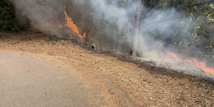 Die Feuerwehr konnte Schlimmeres verhindern und bei Cheyres einen kleineren Waldbrand rasch löschen.