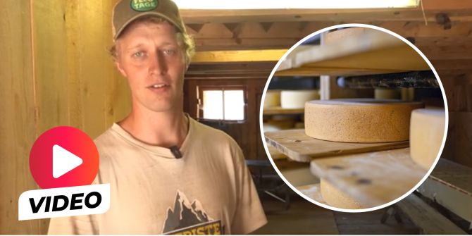 Alpkäse