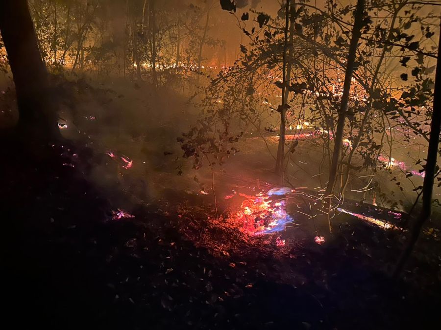 Die Feuerwehr Chestenberg machte diese Fotos vom Waldbrand in Möriken AG.