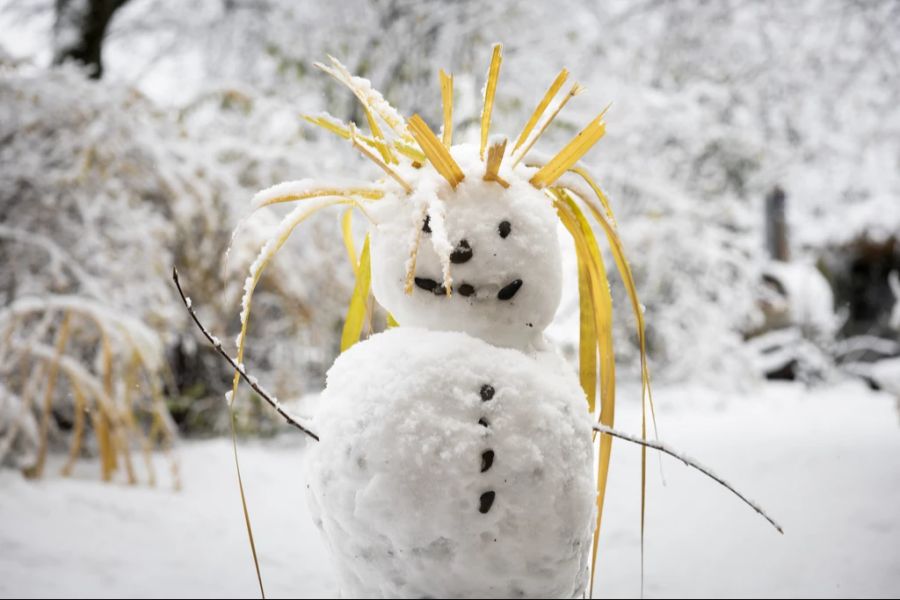 Aber wer den Schnee noch geniessen will, sollte das bis Samstag tun. Danach beginnt es zu tauen.