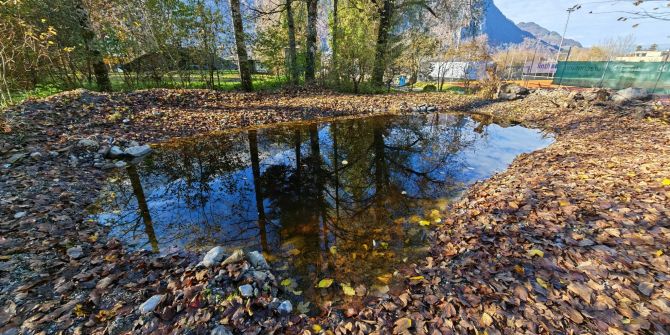 Biotop Glarus Nord