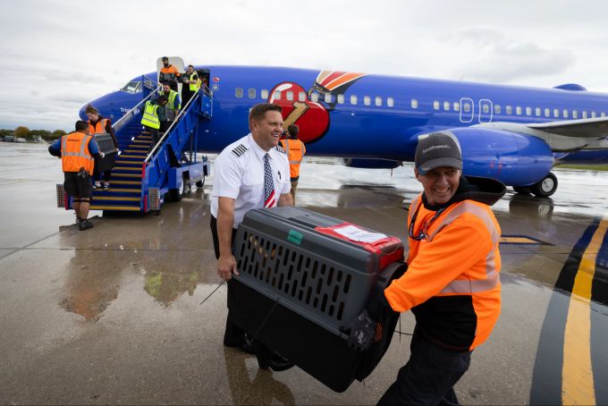 Die Southwest Airlines half dabei, 145 Heimtiere vor den Hurrikans in den USA zu retten. Southwest Airlines Tierrettung Hurrikan