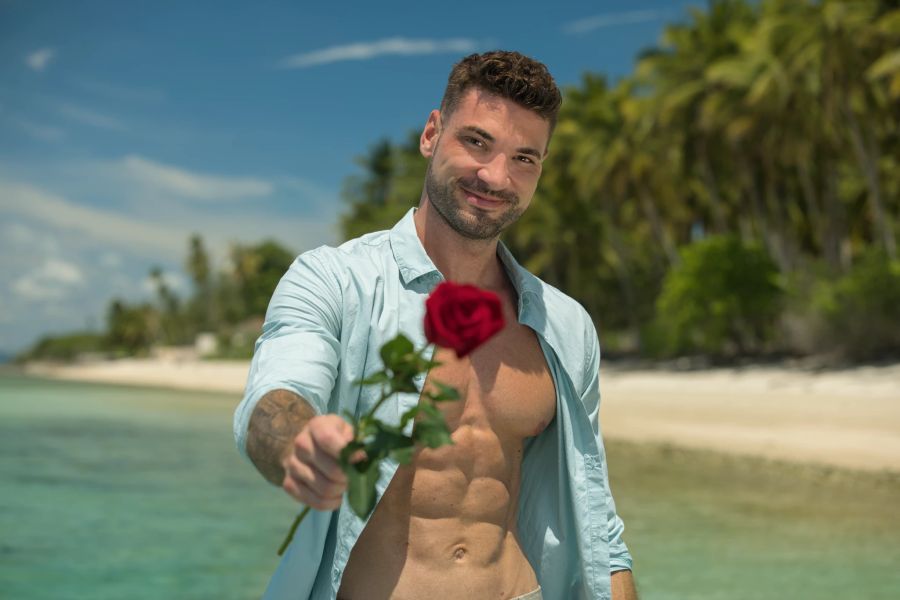 der neue bachelor