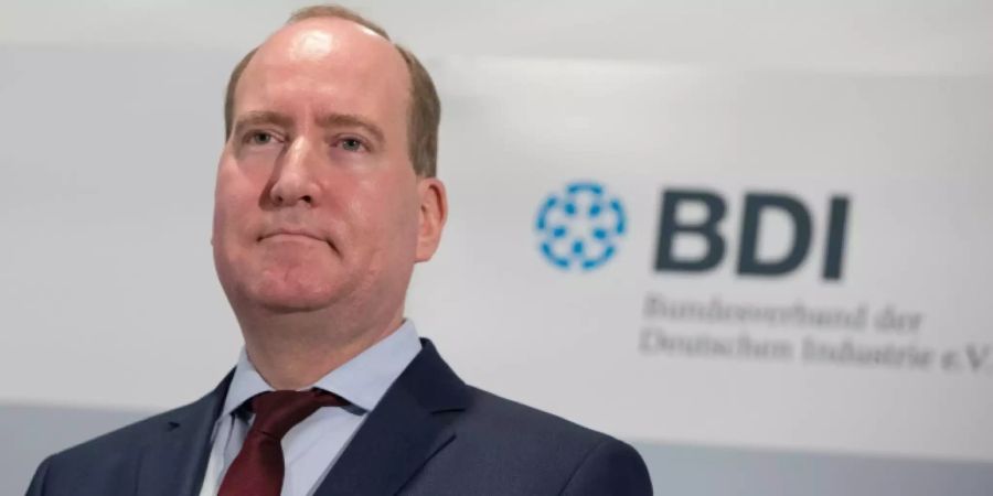 BDI-Hauptgeschäftsführer Lang