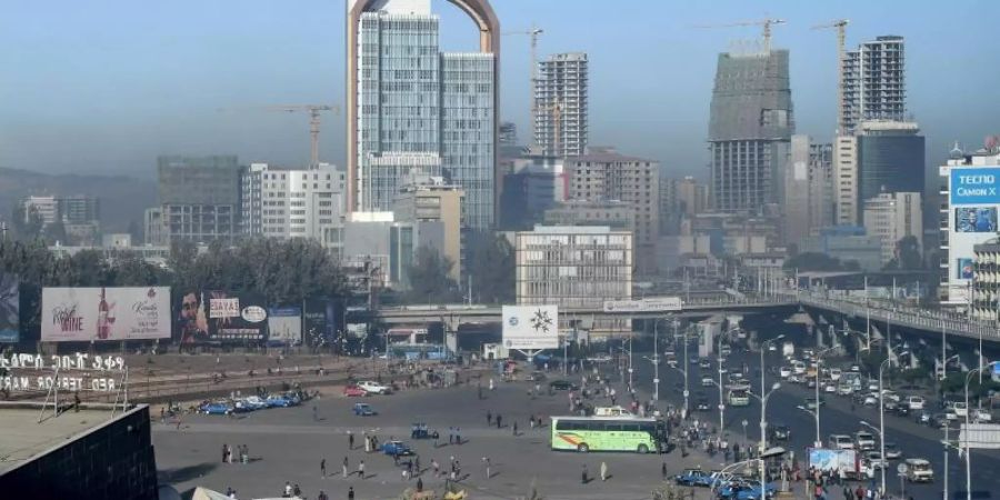 In Addis Abeba mit geschätzten sechs Millionen Einwohnern gibt es der Stadtverwaltung zufolge etwa 300.000 Hunde. Foto: Britta Pedersen