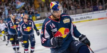 Schwenninger Wild Wings