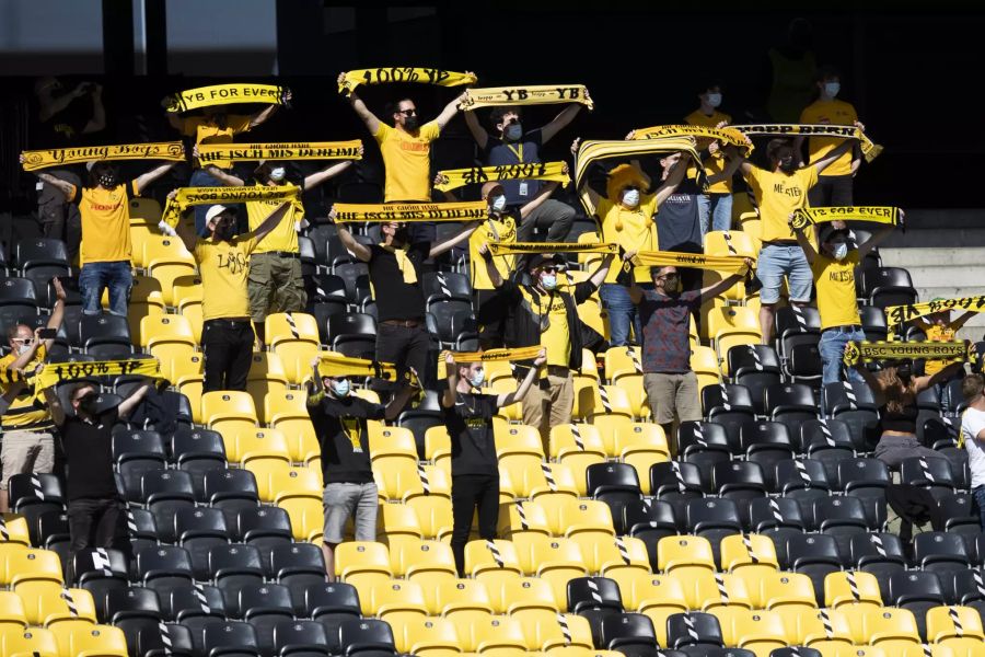 100 YB-Fans sehen das Spiel gegen Sion im Stadion.