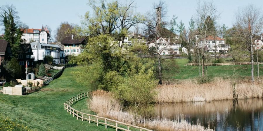 Burgweierareal