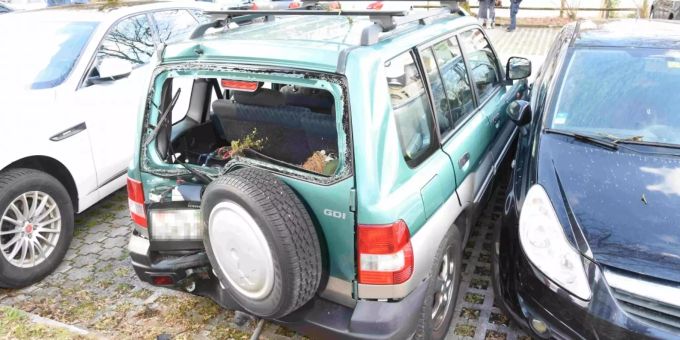 Ein Auto rückwärts ist in einen Baum geprallt.