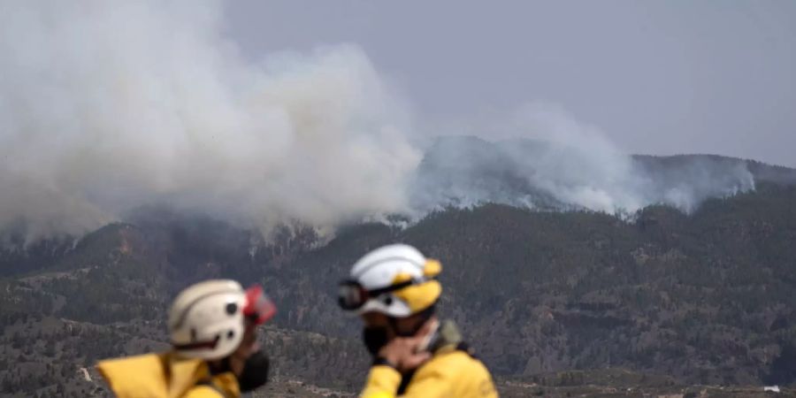 flächenbrand teneriffa