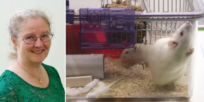 Sogar Grüne dagegen - Tierversuch-Initianten sind radikale Impfgegner