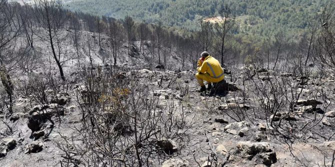 waldbrand südfrankreich