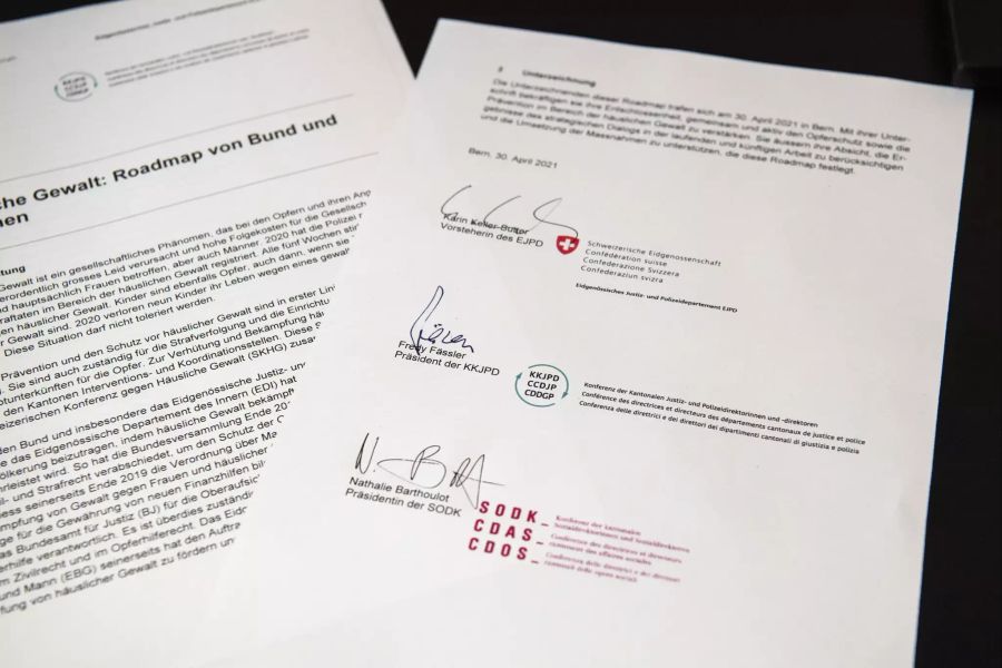 Roadmap Häusliche Gewalt
