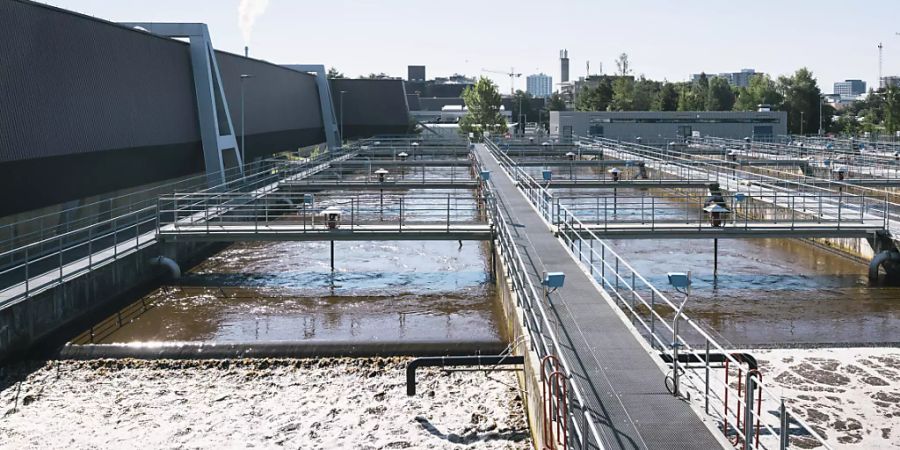 Aus der Industrie gelangen tausende Kilogramm Metalle der Seltenen Erden ins Abwasser, wie eine Studie der Eawag zeigt. (Archivbild der ARA Werdhölzli in Zürich)