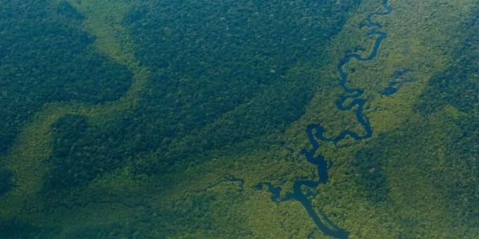 Luftblick auf den Wald im Amazonas nahe Sao Gabriel da Cachoeira. Lebensraum