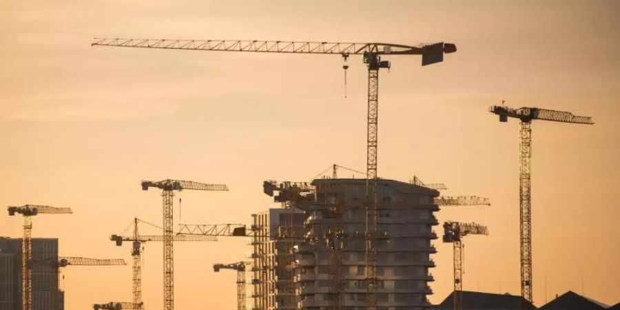 Die Sonne leuchtet am Morgen in der HafenCity Gebäude und Baukräne an. Die Konjunkturexperten beobachten eine zunehmende Spaltung der deutschen Wirtschaft. Foto: Daniel Bockwoldt/dpa