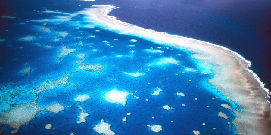 Das Great Barrier Reef ist sogar aus dem Weltraum zu sehen.