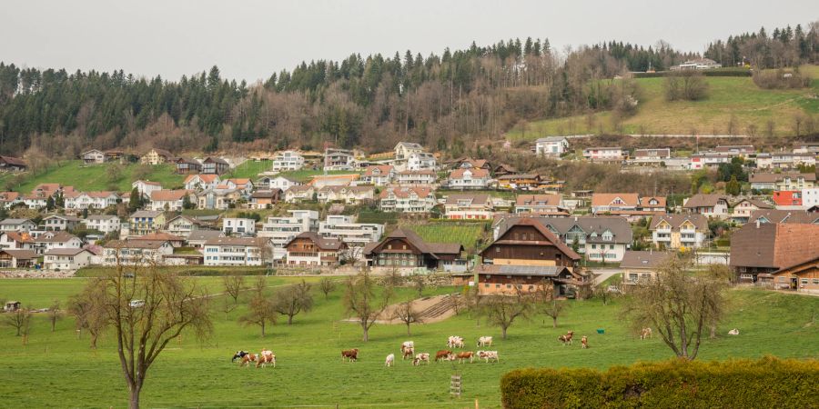 Blick auf die Gemeinde Egolzwil.