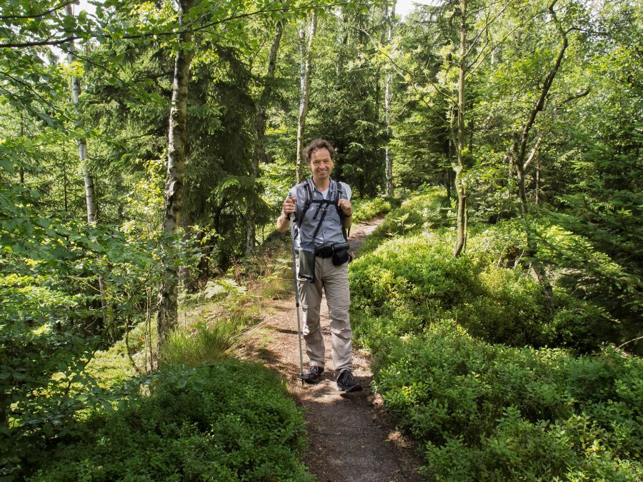 Wald Mann Spazieren Stock Wandern