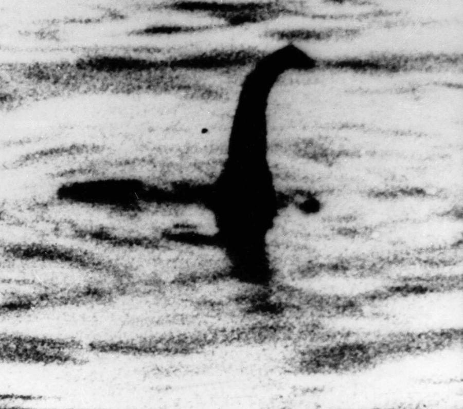 Nessie