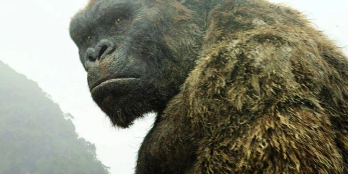 Auf Disney+ - Riesenaffe King Kong bekommt eigene Serie