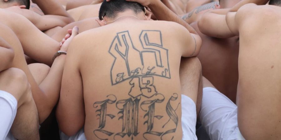 MS-13