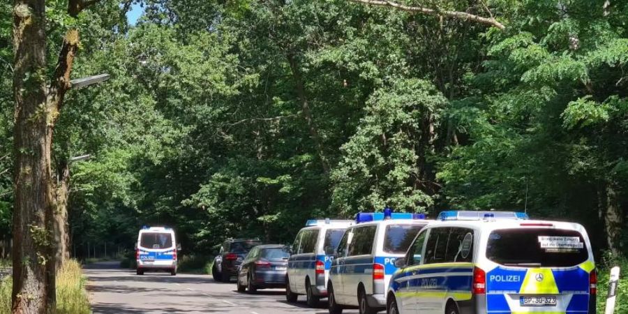 Polizeiautos stehen in einem Waldstück zwischen Babelsberg und Dreilinden. Über Wochen hinweg hatten Meldungen von gewalttätigen Übergriffen auf Frauen überwiegend im Berliner Südwesten grosse Verunsicherung und Besorgnis ausgelöst. Foto: Julian Stähle/dpa-Zentralbild/dpa/Archiv