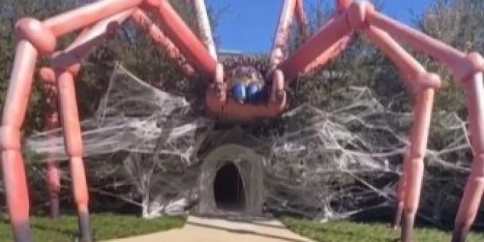 Riesige Spinne - Kim Kardashian wollte besondere Halloween-Dekoration