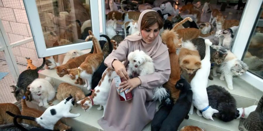 Maryam al-Baluschi mit einem Bruchteil ihrer Tiere