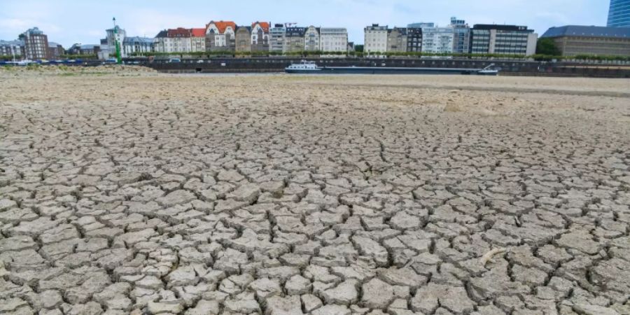 Viele Dürreperioden im vergangenen Jahrzehnt