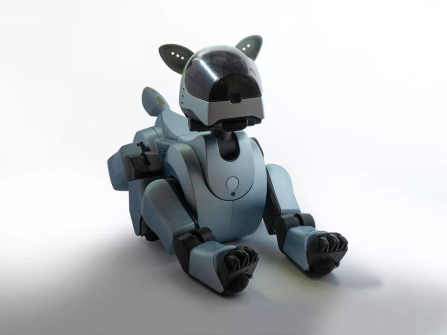 Roboter Katze.