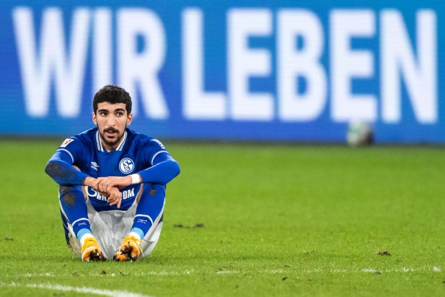 Schalke 04 FC Köln