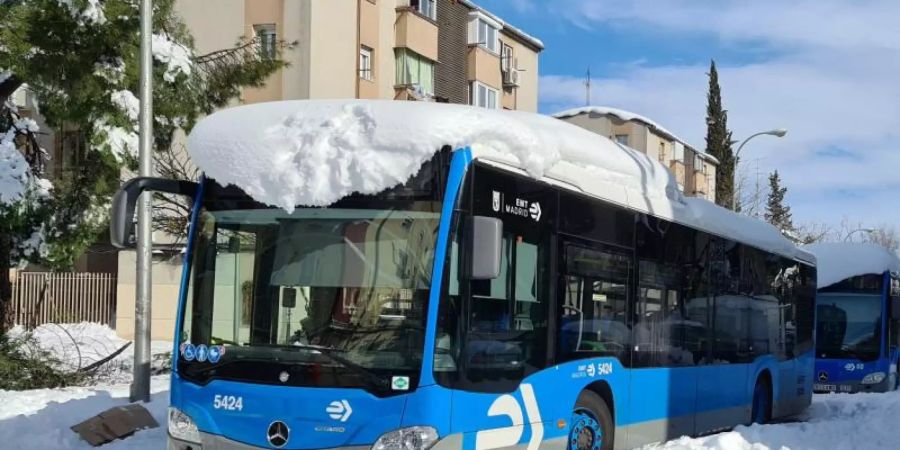 Busse des öffentlichen Nahverkehrs (EMT) stehen zugeschneit auf einer Strasse in Madrid. Foto: Marcial Rodríguez/EUROPA PRESS/dpa