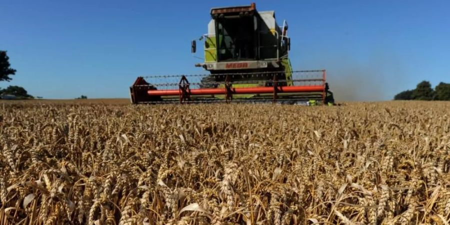 Vor allem bei den Umweltvorgaben der Agrarreform gibt es Differenzen. Foto: Carsten Rehder/dpa