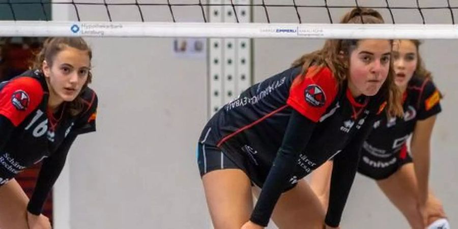 BTV Aarau Volleyball