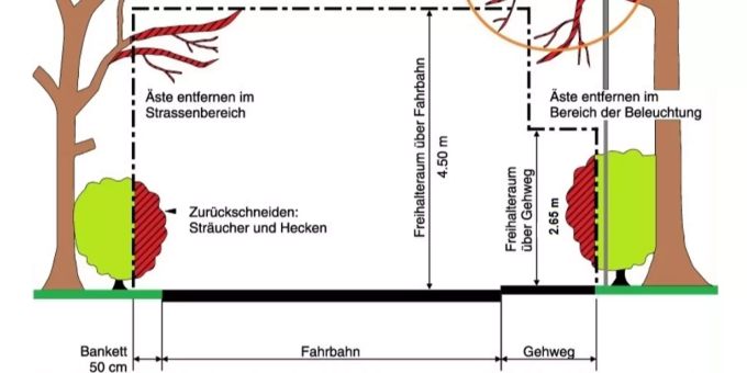 Bäume, Sträucher, Grünhecken und andere Pflanzen an öffentlichen und privaten Strassen und Wegen.