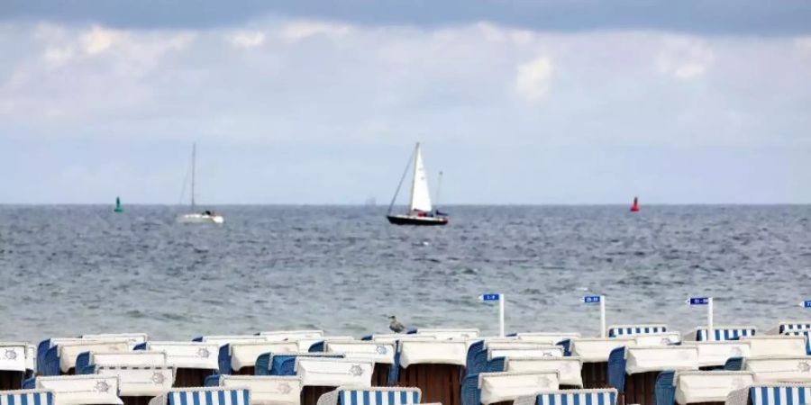 Leer sind die Strandkörbe in Warnemünde. Foto: Bernd Wüstneck/dpa-Zentralbild/dpa